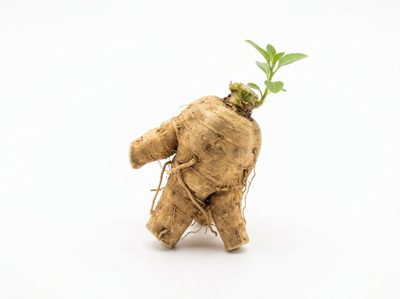 Ashwagandha