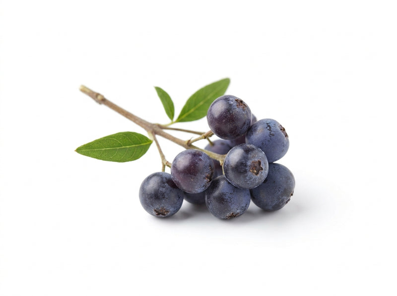 Vitex (Chasteberry)